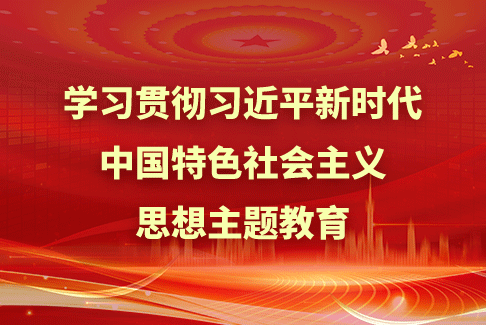 學習貫徹習近平新時代中國特色社會主義思想主題教育