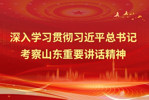 深入學習貫徹習近平總書記考察山東重要講話精神